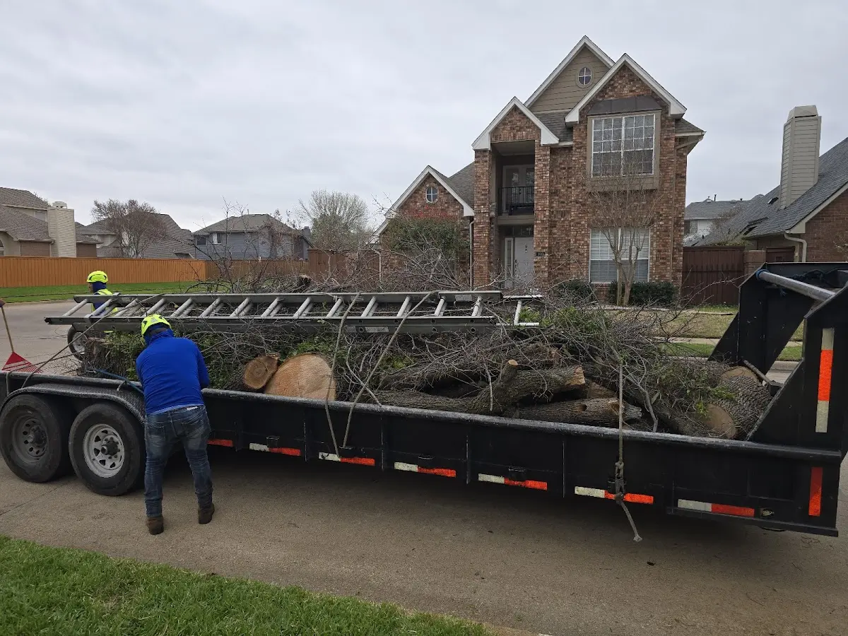 Expert Tree Fertilization with proper safety equipment in Pittsburg